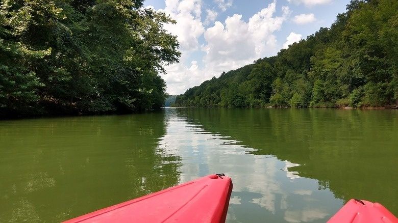 Widok z czerwonego kajaka na spokojną, leśną rzekę